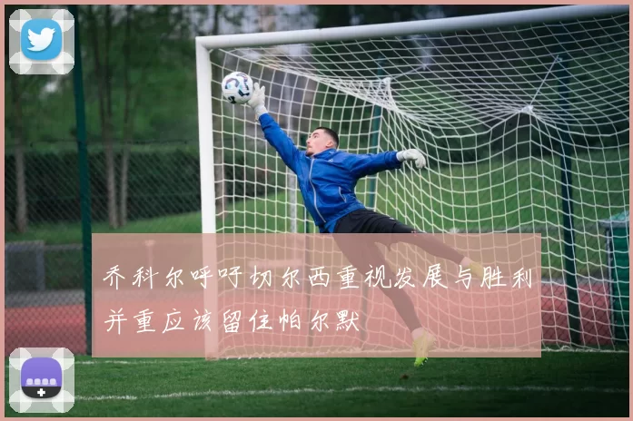 乔科尔呼吁切尔西重视发展与胜利并重应该留住帕尔默